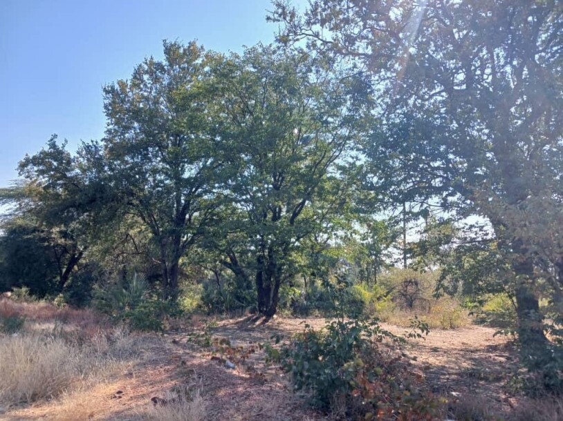 LAND FOR SALE-2