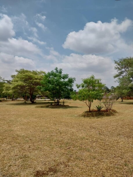 Six (6) Acre Property For Sale-6