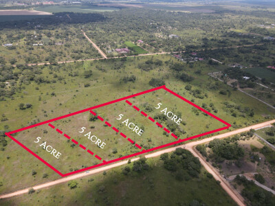 PLOTS FOR SALE