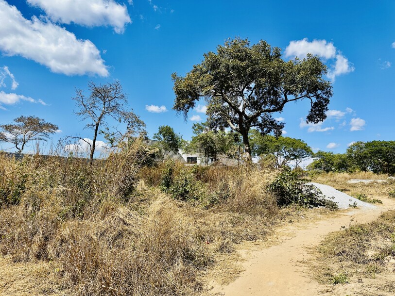 PLOT FOR SALE-3
